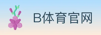 B体育官网 logo